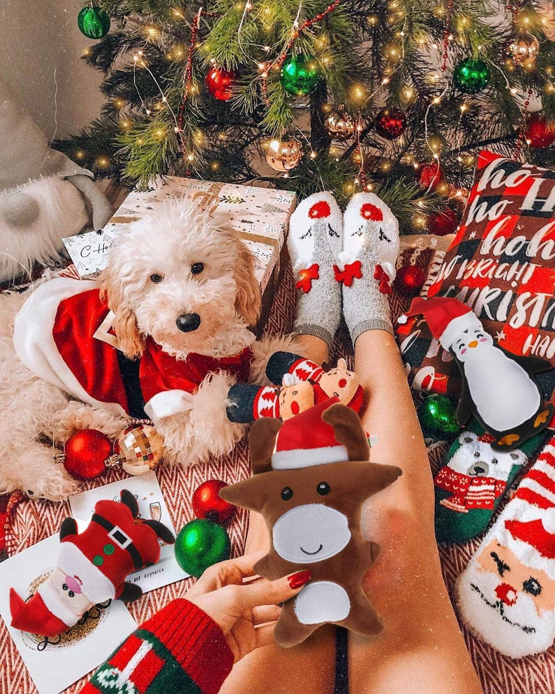 Small Dog Toys Christmas,3 Pack Cute Plush Squeaky Toy for Boredom