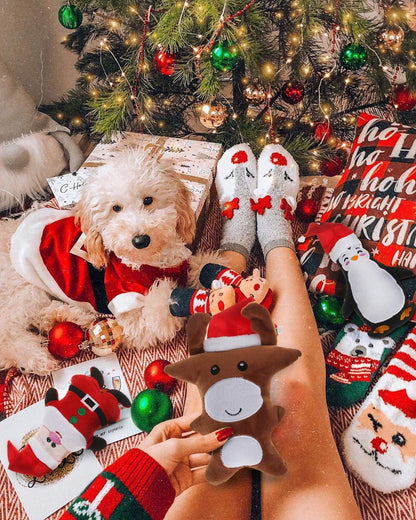 Small Dog Toys Christmas,3 Pack Cute Plush Squeaky Toy for Boredom